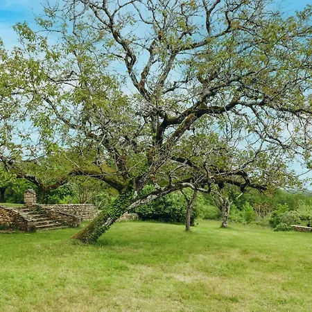 Maison Du Noyer, Parc De La Fage Hébergement de vacances Journiac